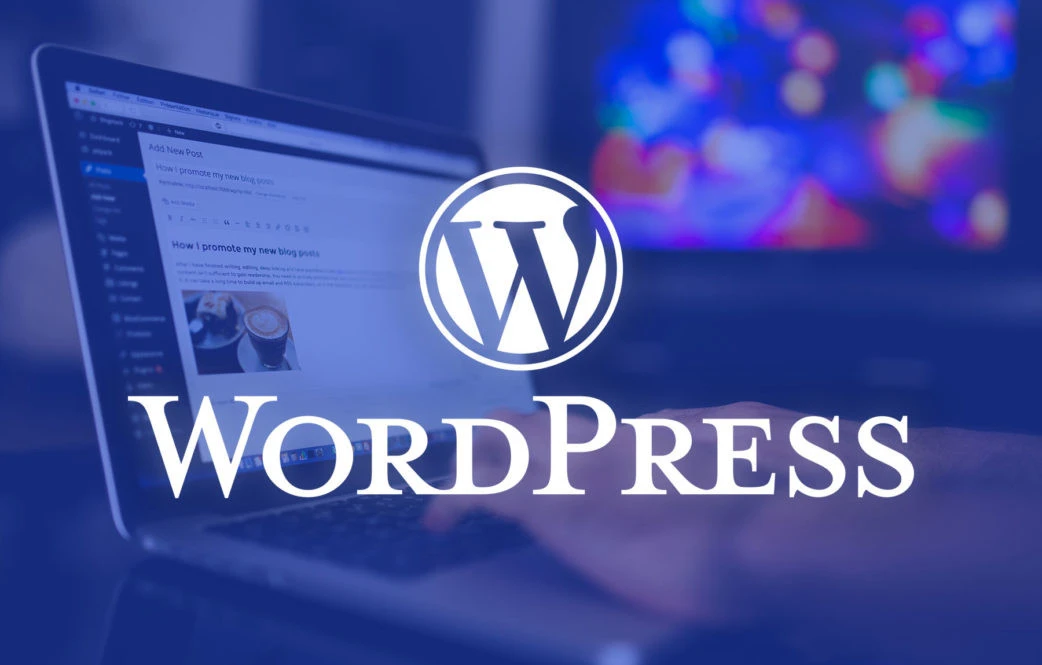 Özel yazılım site mi daha iyi WordPress site mi bloguna ait görsel